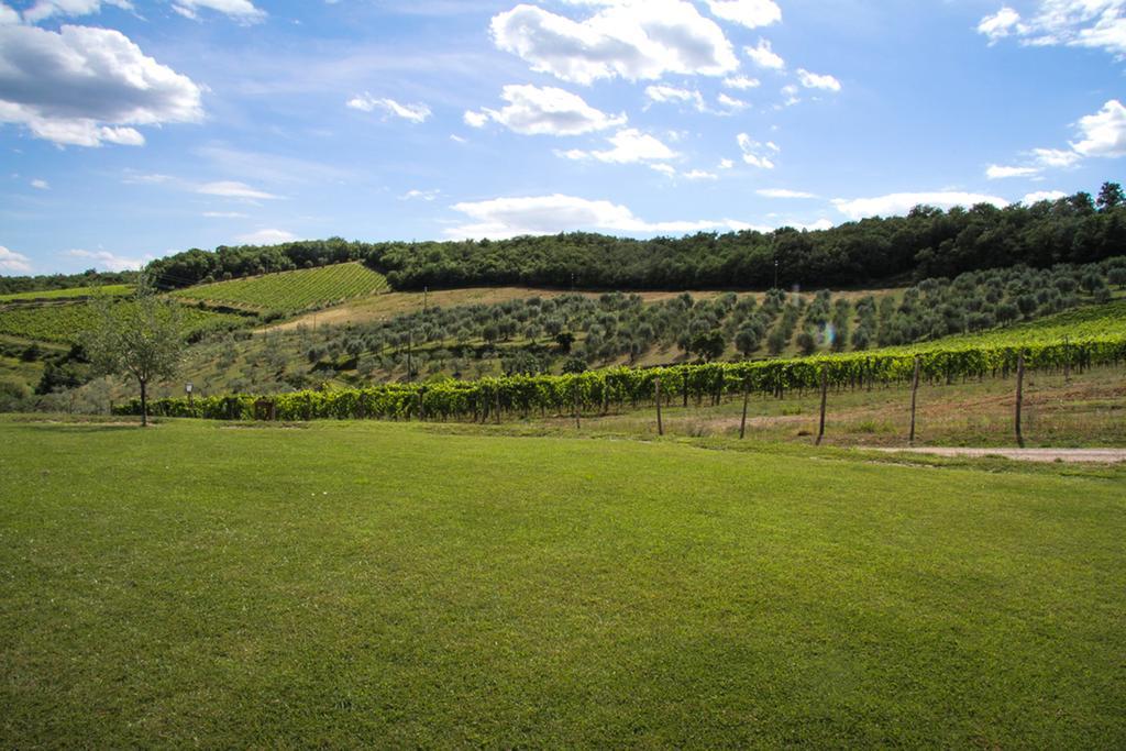Agriturismo Panzanello Panzano in Chianti Dış mekan fotoğraf
