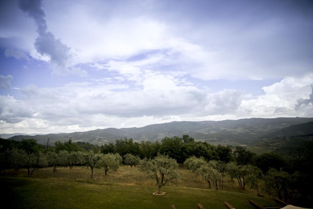 Agriturismo Panzanello Panzano in Chianti Dış mekan fotoğraf